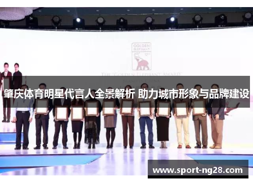 肇庆体育明星代言人全景解析 助力城市形象与品牌建设